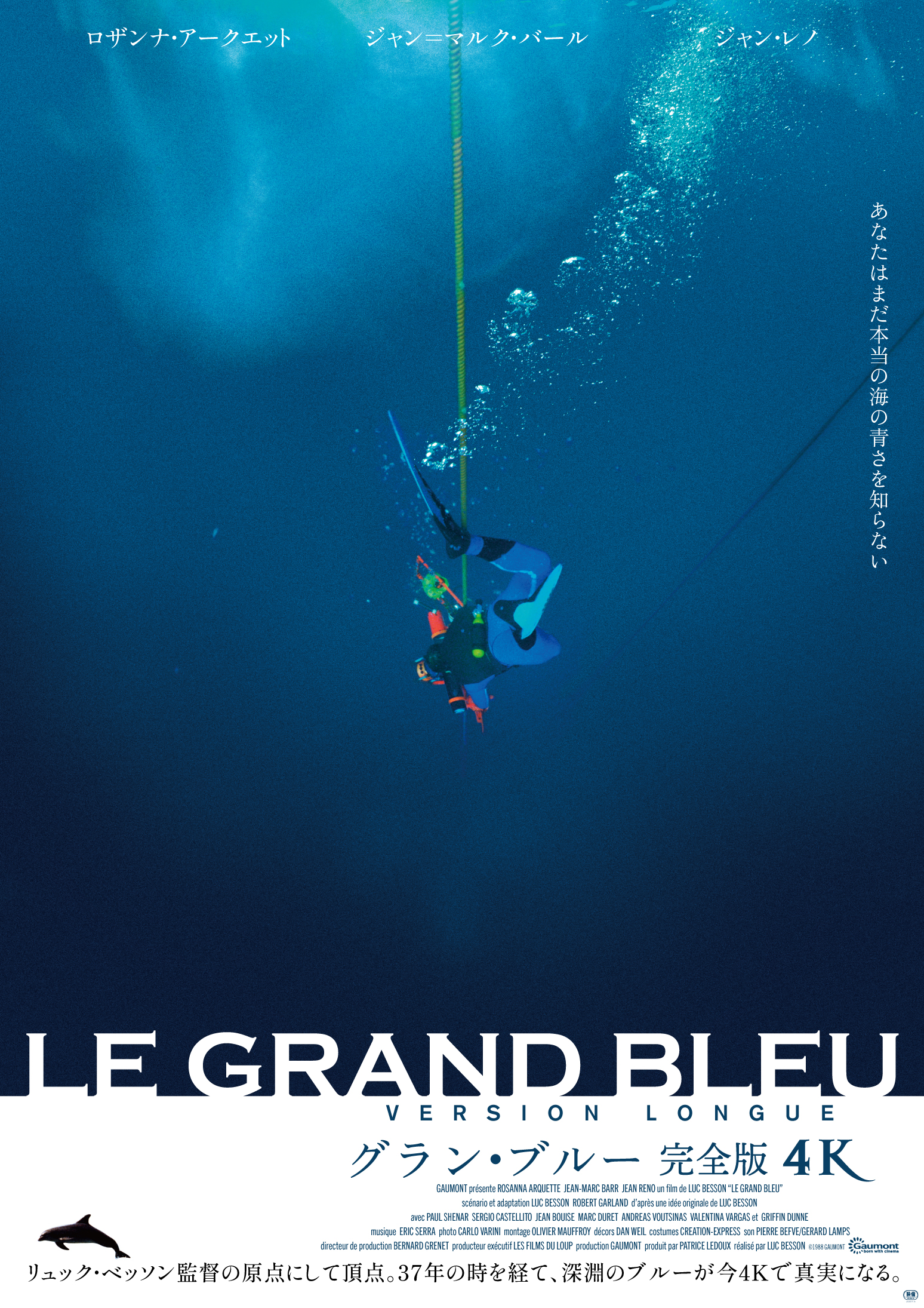 【白と青の静寂、4Kで目撃せよ。】