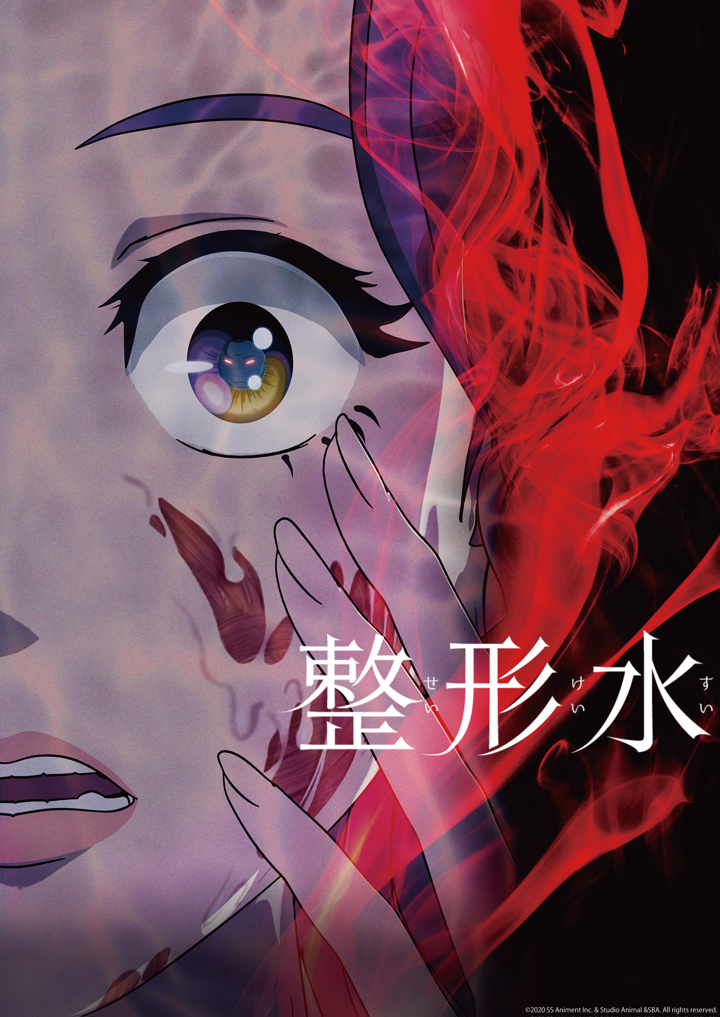 【韓国発！容赦なき整形サイコホラー リバイバル上映】